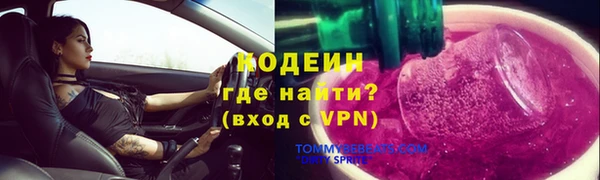 дживик Заводоуковск