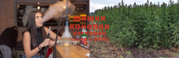 дживик Заводоуковск
