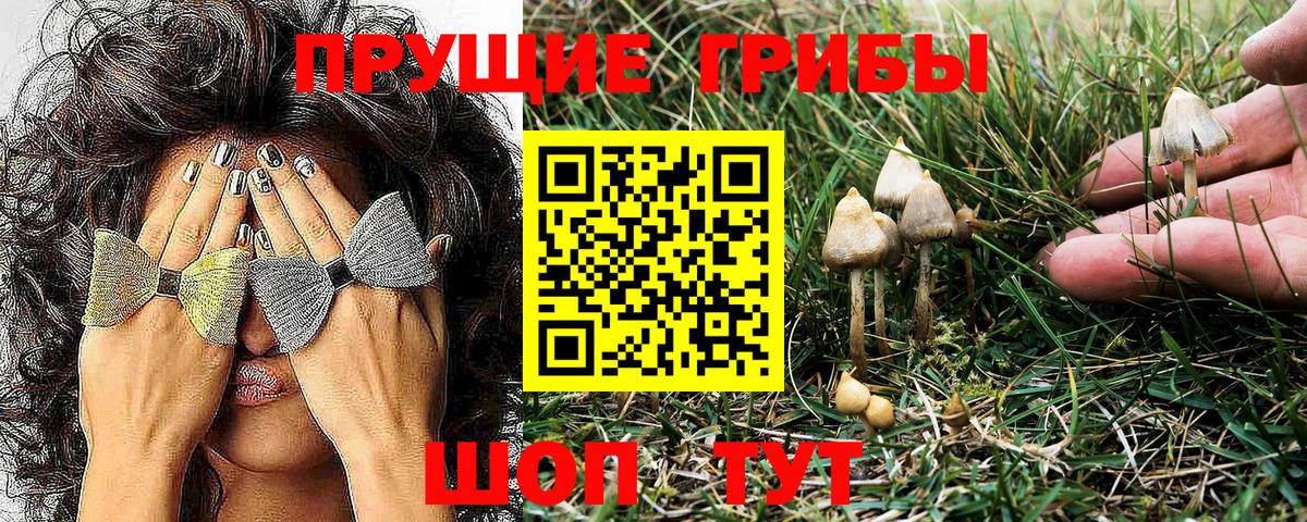 Симферополь  Галлюциногенные грибы Magic Shrooms  Псилоцибиновые грибы Psilocybine cubensis  наркота  Вход с VPN 