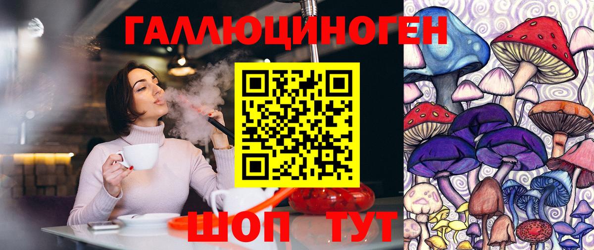 Псилоцибиновые грибы Psilocybine cubensis Симферополь